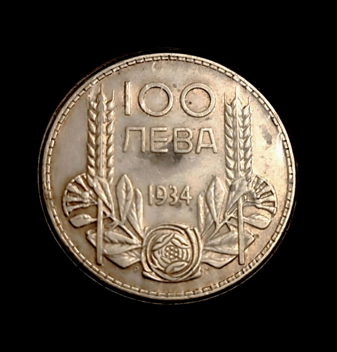 Основна снимка